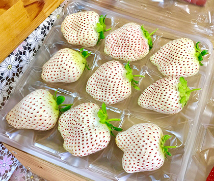 販売商品